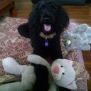 dee hope - @dabhope - Twitter