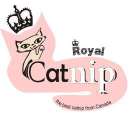 kucing km tdk doyan mkn?sudah ngga lincah?kasih catnip aja
Pnyedia catnip Trbaik dr KANADA brkualitas tinggi HP/WA 085693507798 BBM:  74289D62