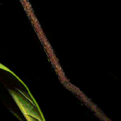 Homerti's profile picture. 