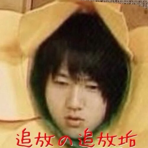 ひまわり