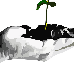 latinstartup's profile picture. 