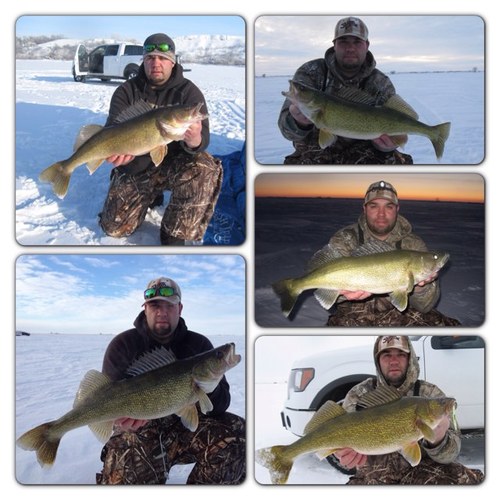 Meatman21's profile picture. 