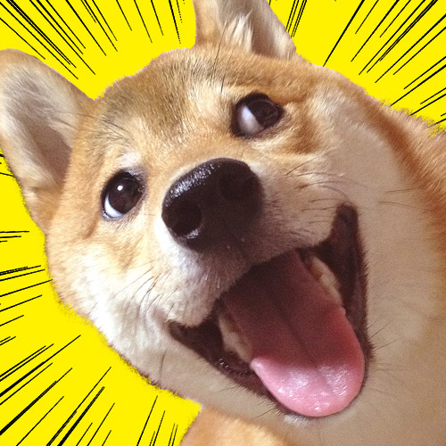 🐕さんのプロフィール画像