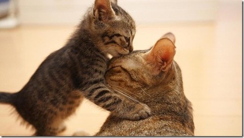 @ClubeFollowBack  #operaçaotimbeta. Me Seguem que eu retribuirei! #SDV #followback