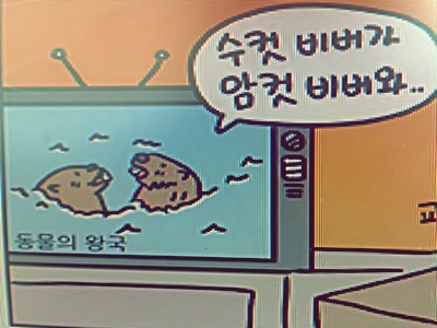 Sweet Tweet♩ 9700 / 지극히 주관적이고 개인적이고 때로는 이기적 / 잘난 구석보단 소소한 멋짐을 추구 / 상하지않는 달걀한판이 되어보세