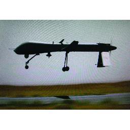 bettineschi_m's profile picture. Artista