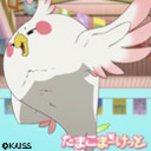 maimmaimchan's profile picture. 色々なsnsをやると最終的にプロフィールをつくるのがめんどくさくなる質です。