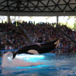 oweemulay's profile picture. 