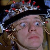 The Muck Rake (@somuchmuck) 's Twitter Profile Photo