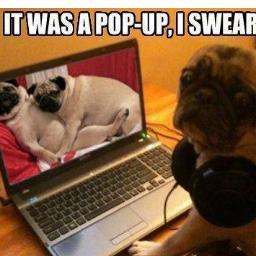 Brandon1994x's profile picture. #TeamFollowBack I try to follow everyone who follows me. I am on a goal to get 10k followers. Please help me!