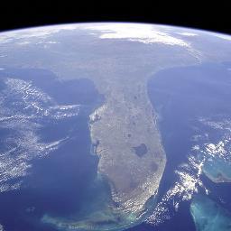 TheXFerj's profile picture. Molecular biology, microbiology, Surfer, Gun Owner, Proud Father, business owner. Leading the masses to financial freedom.