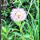 Lisa Osburn - @LilRisa801 - Twitter