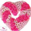 احمد (@0190509948) Twitter