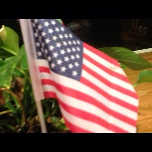 coordinater for Cell Phones for Soldiers,  New Jersey, Recycling old, broken, unused Cell Phones for Soldiers over seas