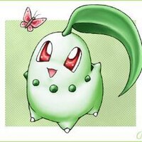 Beech チコリータ (@sunbeeching) 's Twitter Profile