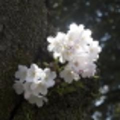 maru1040maru's profile picture. はじめまして。丸山俊夫です。
サラリーマンをしながら輸入販売
株式投資、FX投資をしています。
日々の気になる事を皆さまと
共有できれば幸いです。
よろしくお願いします。