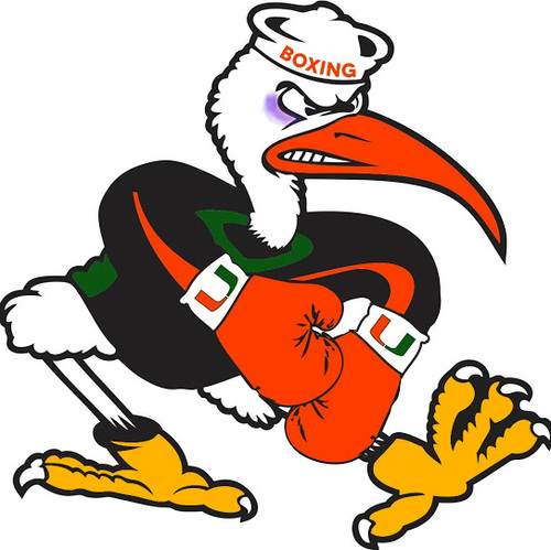 Official Twitter account of the University of Miami Boxing Club