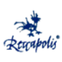 Reccapolis(@reccapolis) 's Twitter Profile Photo