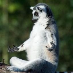 TheWordOfNerds's profile picture. Just a group of nerdy programmers at work saying pretty much whatever pops into our heads.