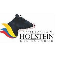 Holstein Ecuador (@holsteinec) 's Twitter Profile