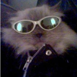 BettrN8ThanNevr's profile picture. Pre-retired; Gentleman Farmer; Skier; Realpolitik Consequentialist; 世界は眠らない On&On Like a Tachyon!© Micah 4:3 #TeamTaurus♉