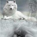 michelle wegner  - @MickeyWegner - Twitter