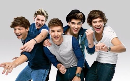 One Direction+Peter Andre.  I used to be MrsLauraAndre1D:)