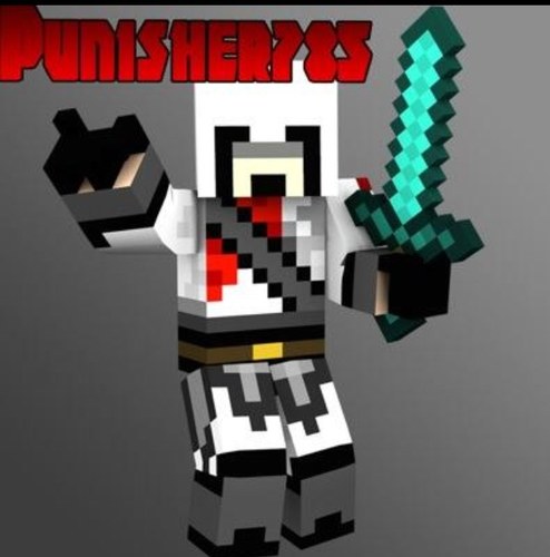 Fan account for @punisher784 and a minecraft expert. Looking to get big and famous so follow!
