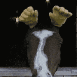 horse_devtools's profile picture. 