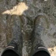 caffster's profile picture. Music loving. Festival fanatic. Mother of 3.