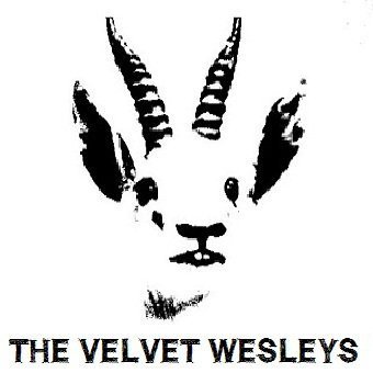 VelvetWesleys's profile picture. The Velvet Weslys are a band, who use Twitter with charming incompetence.