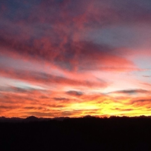 DigitalXrays's profile picture. 