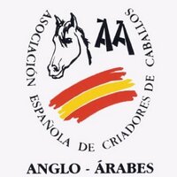 Anglo-Árabe (@aeccaa) 's Twitter Profile
