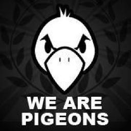we_are_pigeons's profile picture. Génération sacrifiée et plumée. La décadence ne peut pas être un projet, sauvons La famille. REAGISSONS ! #LMPT #StopPS