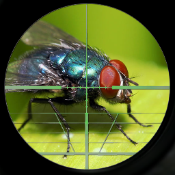 TheFlySniper's profile picture. I kill flies! That's what I do!