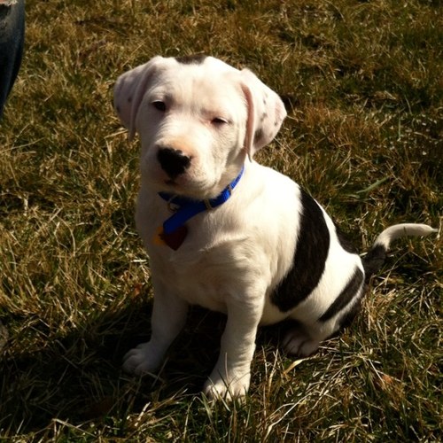 kristenkanara's profile picture. ⭐Mother ⭐Daughter ⭐Sister ⭐Cancer Survivor