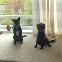 kim read - @kimreadabook - Twitter