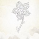 S. Olivia Jung - @Soliviajung - Twitter