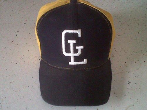 Grand Ledge Baseball Profile