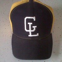 Grand Ledge Baseball (@glbaseball2013) 's Twitter Profile