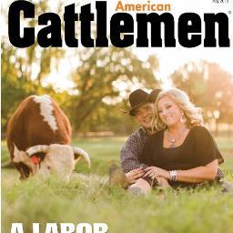 American Cattlemen