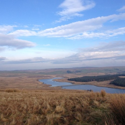 BusTinRimes's profile picture. 