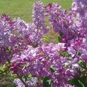 Gloria Peck - @Gloryb4me - Twitter