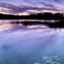 Alice Cai - @caigqa - Twitter