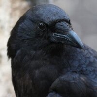 Jim Bowles (@bcjimb) 's Twitter Profile
