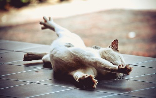 IrwinColleenWKM's profile picture. Bonjour, Je vous remercie de survenir voir mon profil. J espere que vous allez apprecier et que vous-meme reviendrez souvent voir mes nouveaux Tweets et Avis.