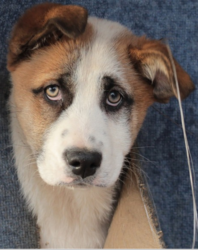 IrmaAlbaFWLs's profile picture. 