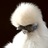 farmivore's profile image