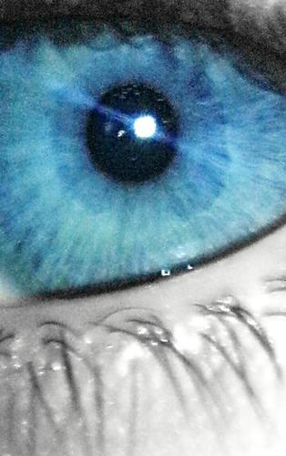 wasistda's profile picture. 