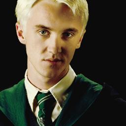 Deatheaters control Hogwarts, there is nowhere to hide. I'm just annoyed I have to share a dorm with the bushy mudblood. || Headboy. {Seventh year AU RP}